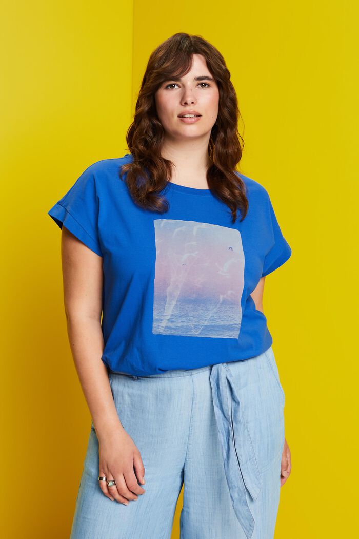 CURVY T-shirt med print foran, 100 % bomuld, BRIGHT BLUE, detail image number 0