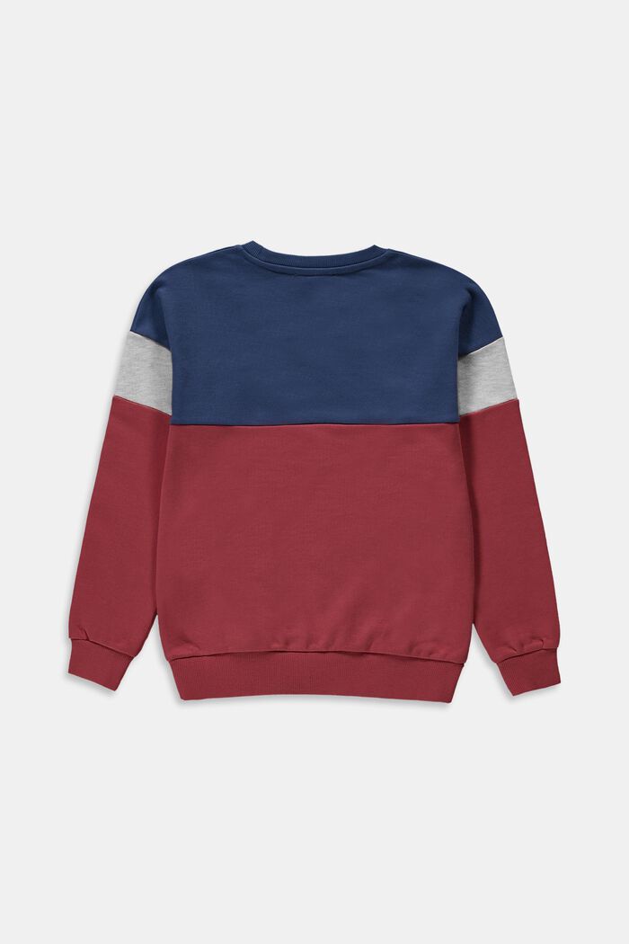 Sweatshirt i colourblock-design, GARNET RED, detail image number 1