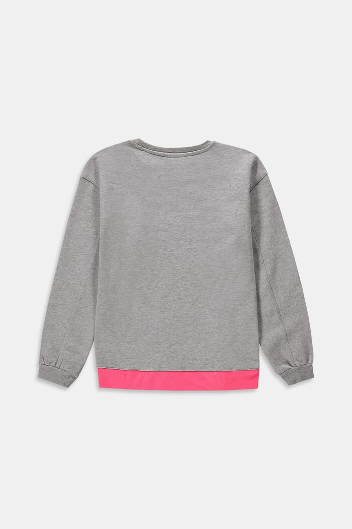 Sweatshirt med aluminiumsfarvet kant, LIGHT GREY, detail image number 1