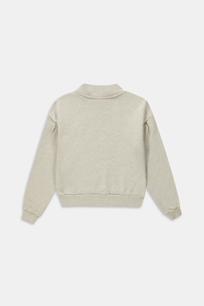 Sweatshirt med mock-rullekrave og statement-print, ICE, detail image number 1