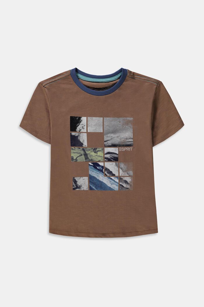 Print-T-shirt af 100 % bomuld, TAUPE, detail image number 0