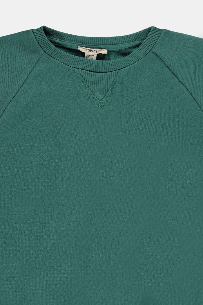 Sweatshirt i bomuld, TEAL GREEN, detail image number 2