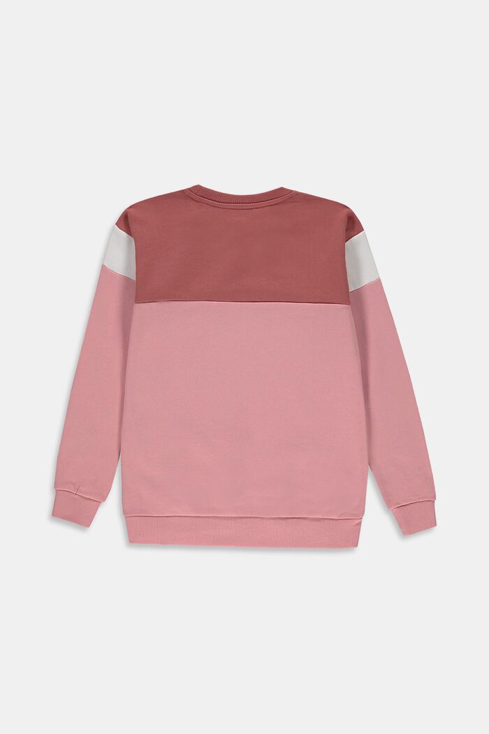 Colourblocking-sweatshirt af 100% bomuld
