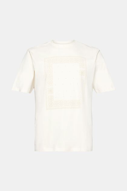 Relaxed fit T-shirt i bomuld med print på fronten, ICE, overview