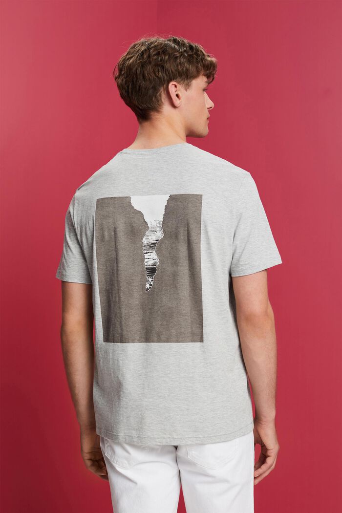 Jersey-T-shirt med print på ryggen, LIGHT GREY, detail image number 3