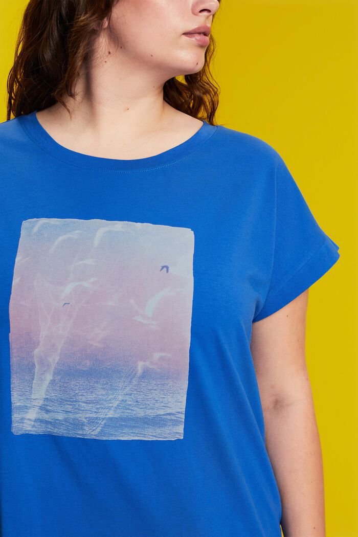 CURVY T-shirt med print foran, 100 % bomuld, BRIGHT BLUE, detail image number 2