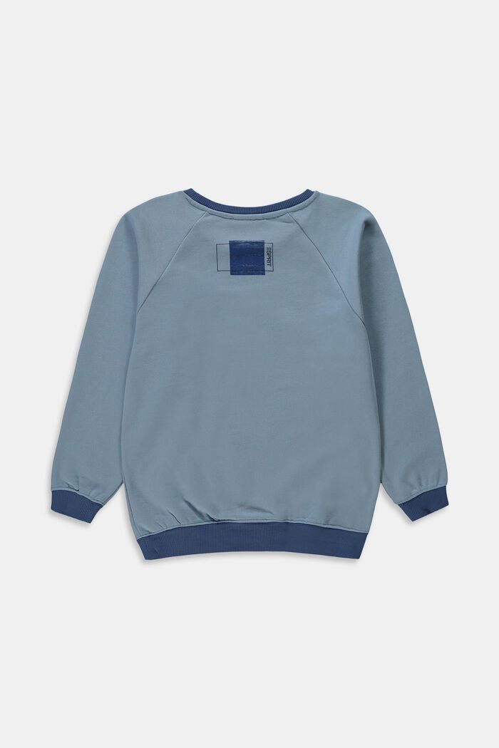 Sweatshirt i 100% bomuld, LIGHT BLUE, detail image number 1