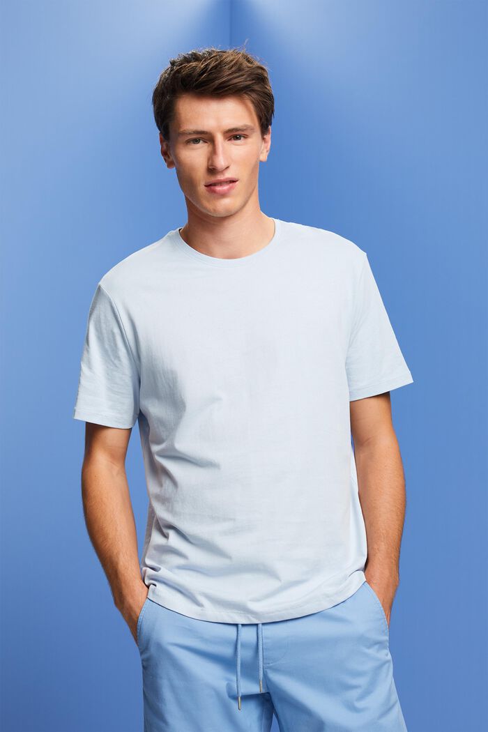 Jersey-T-shirt med print på ryggen, 100 % bomuld, PASTEL BLUE, detail image number 0
