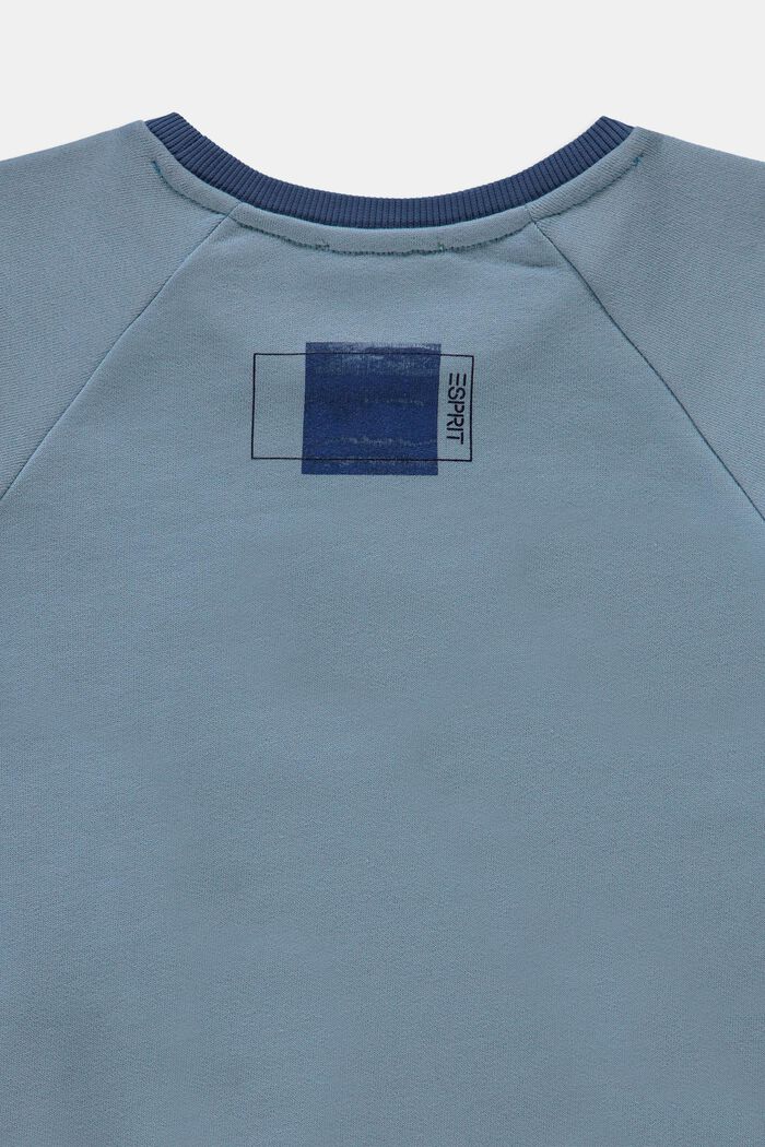 Sweatshirt i 100% bomuld, LIGHT BLUE, detail image number 2