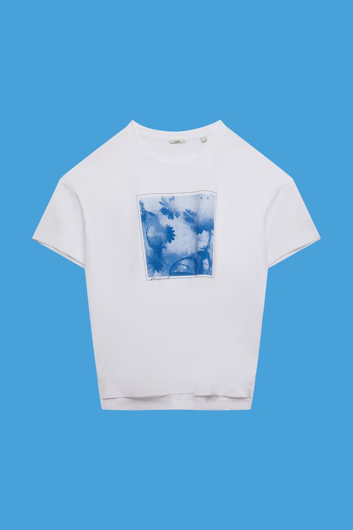 CURVY bomulds-T-shirt med print på fronten, WHITE, detail image number 0