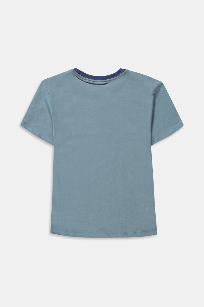 Print-T-shirt af 100 % bomuld, LIGHT BLUE, detail image number 1