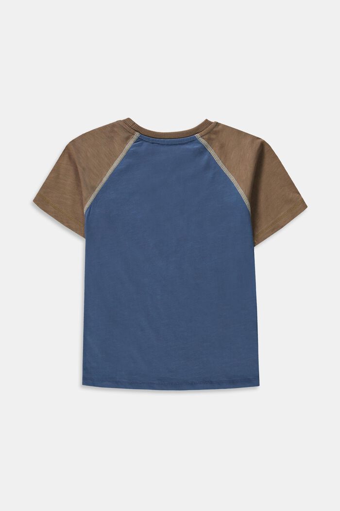 T-shirt i 100 % bomuld, GREY BLUE, detail image number 1