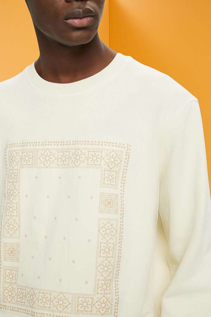 Sweatshirt med print på fronten, ICE, detail image number 2