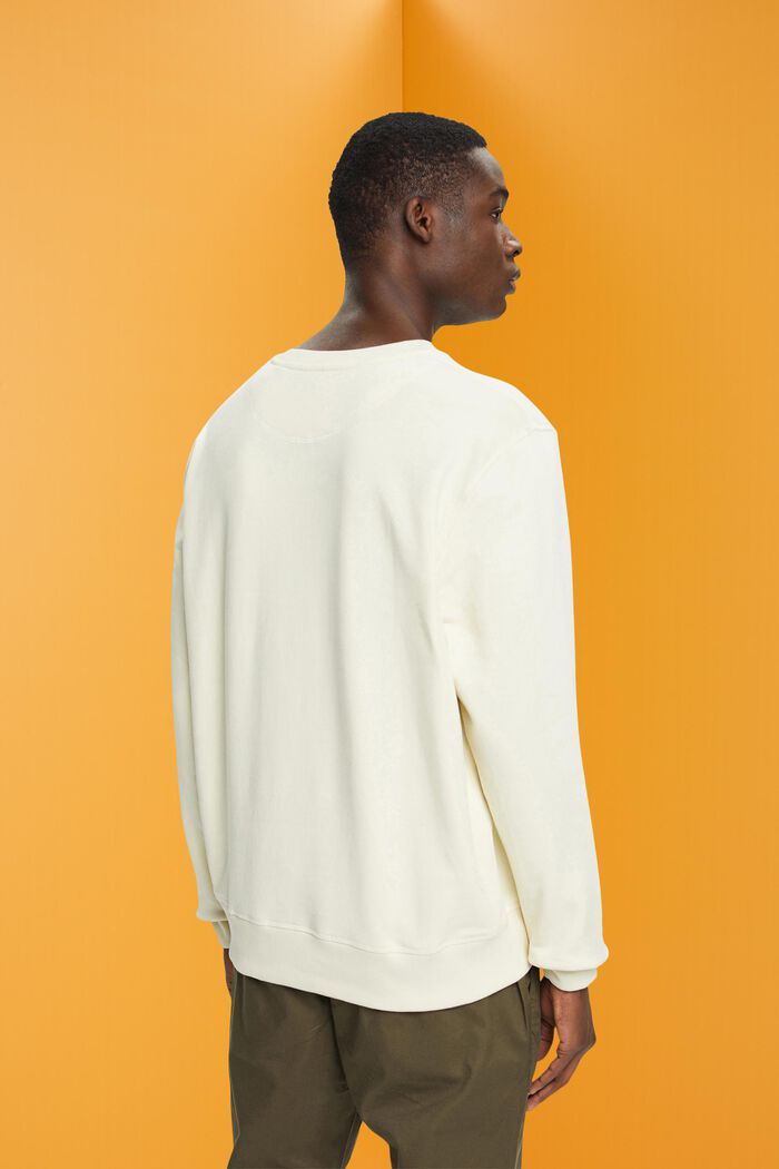 Sweatshirt med print på fronten, ICE, detail image number 3
