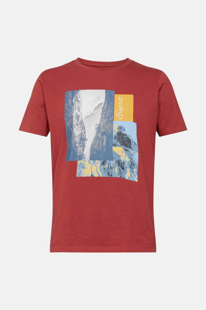 T-shirt med print, TERRACOTTA, overview