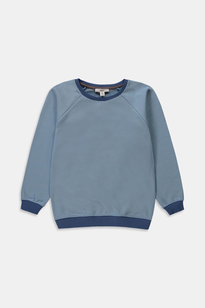 Sweatshirt i 100% bomuld, LIGHT BLUE, detail image number 0