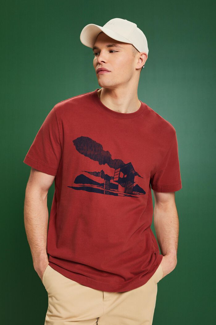 T-shirt med grafisk print, TERRACOTTA, detail image number 0