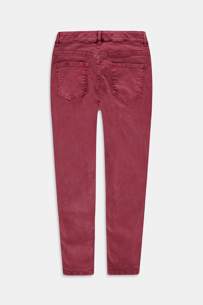 Bukser med økobomuld, DARK RED, detail image number 1