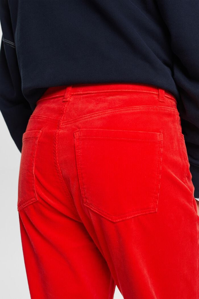 Straight fit-fløjlsbukser med høj talje, RED, detail image number 4