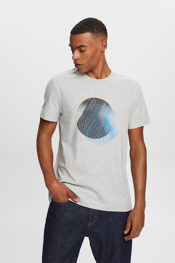T-shirt med rund hals og print på fronten, LIGHT GREY, detail image number 0
