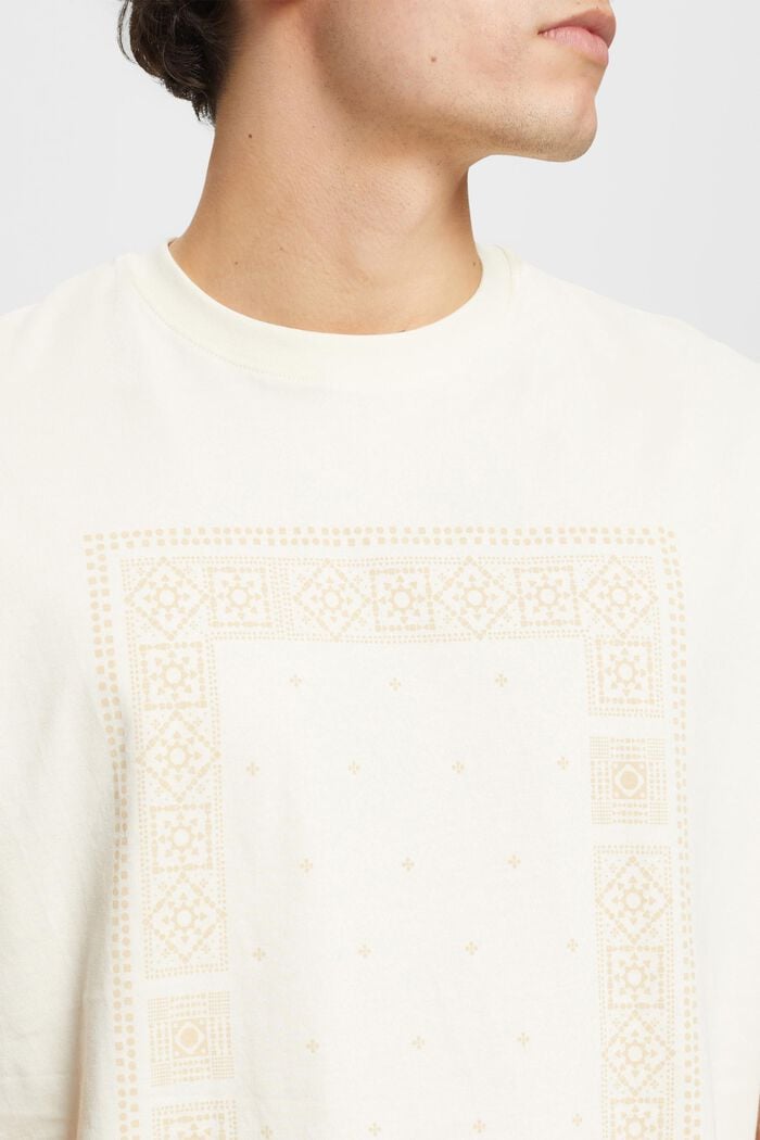 Relaxed fit T-shirt i bomuld med print på fronten, ICE, detail image number 2